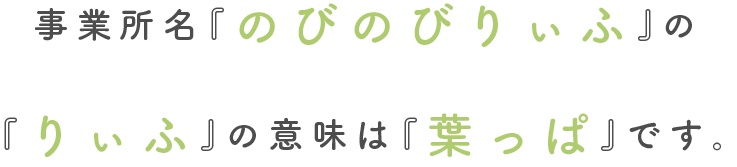 事業所名『のびのびりぃふ』の『りぃふ』の意味は『葉っぱ』です。